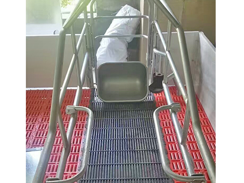 猪场定位栏加工不用愁，长沙威弯一站式搞定